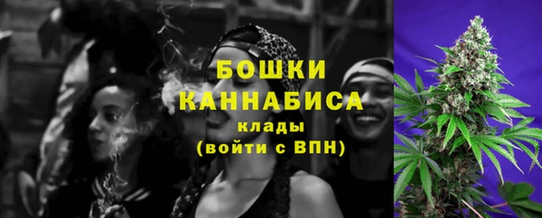 гидра Переславль-Залесский