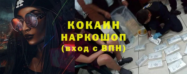 ГАЛЛЮЦИНОГЕННЫЕ ГРИБЫ Пестово