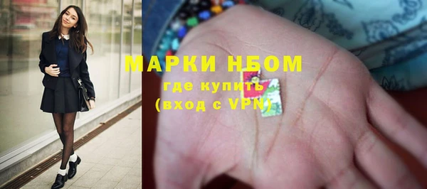 ГАЛЛЮЦИНОГЕННЫЕ ГРИБЫ Пестово