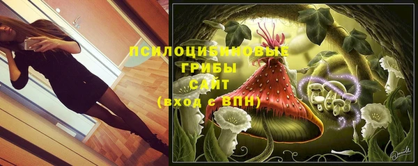 mix Осташков