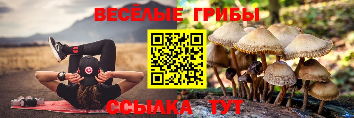Галлюциногенные грибы мицелий  Вход с VPN  Богородицк 