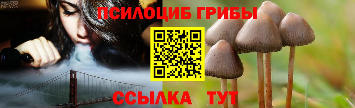 Псилоцибиновые грибы MAGIC MUSHROOMS  Богородицк 