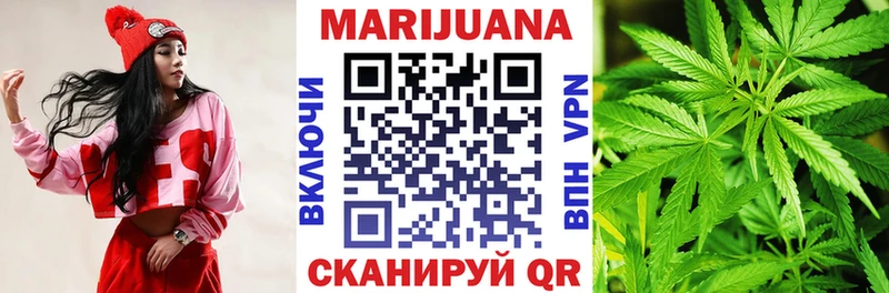 как найти наркотики  Богородицк  Бошки марихуана Amnesia 